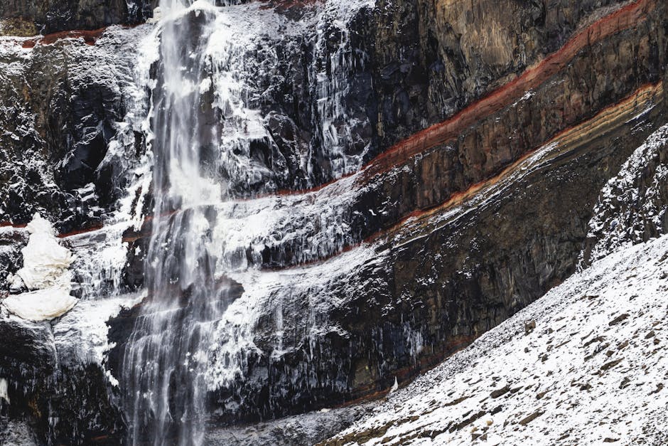 寵物攝影：捕捉愛寵最真摯的瞬間