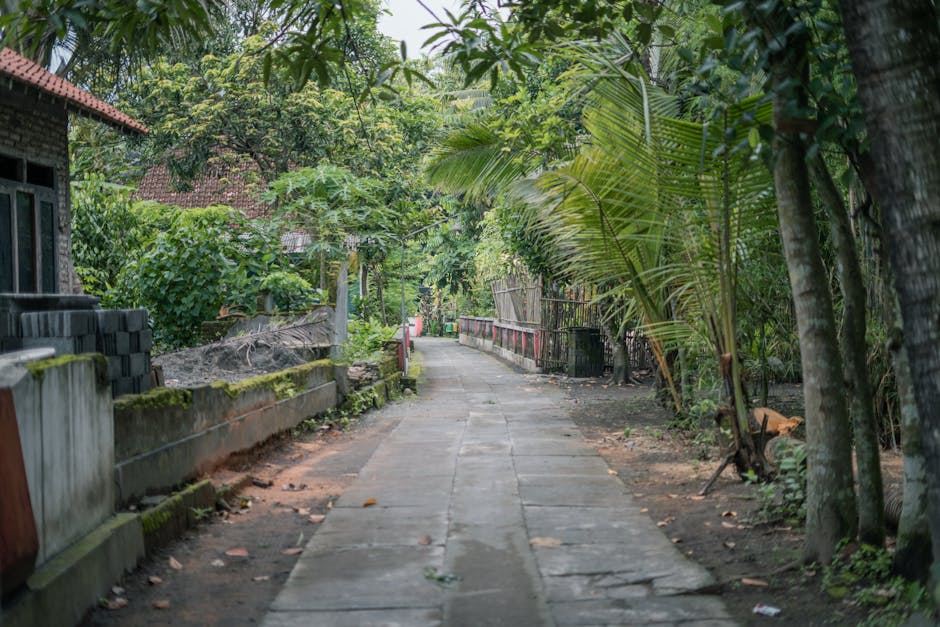 麗珠蘭的文化意義與哲學思考